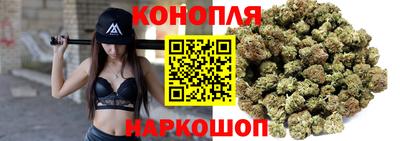 Альфа ПВП Краснознаменск
