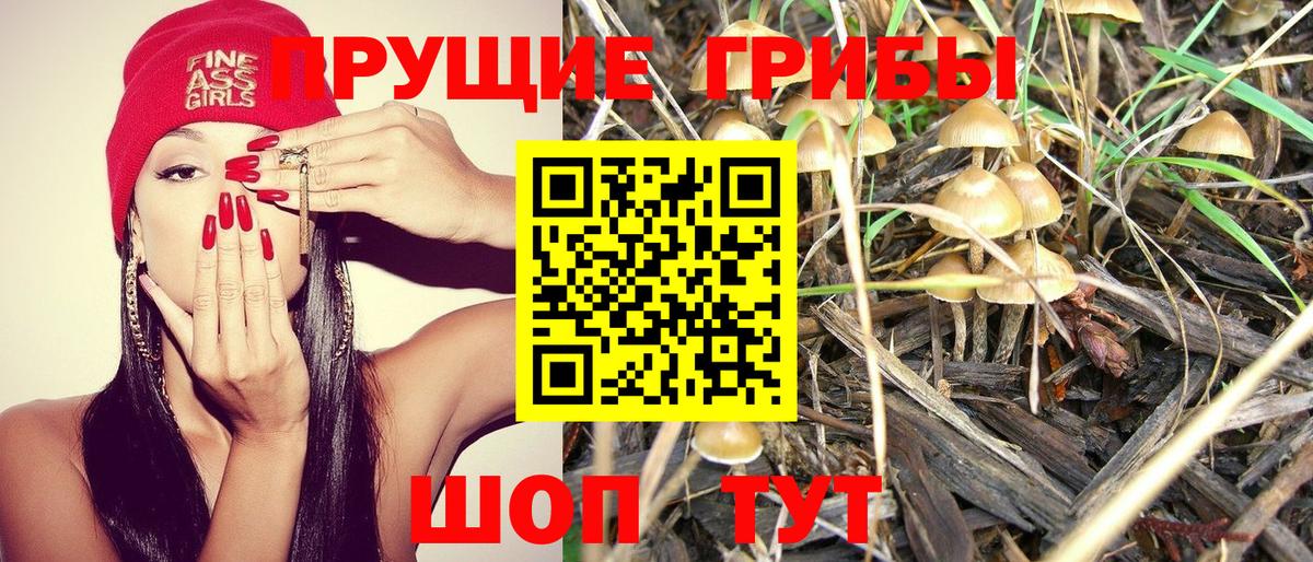 Псилоцибиновые грибы мицелий  Вход с VPN  Галлюциногенные грибы GOLDEN TEACHER  Кохма 