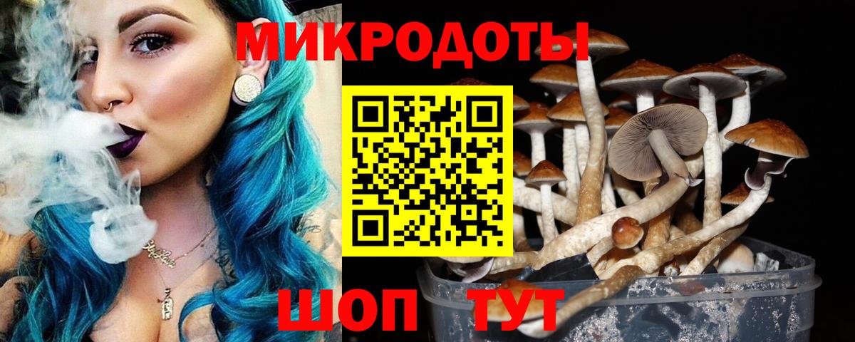 Галлюциногенные грибы мухоморы Кохма