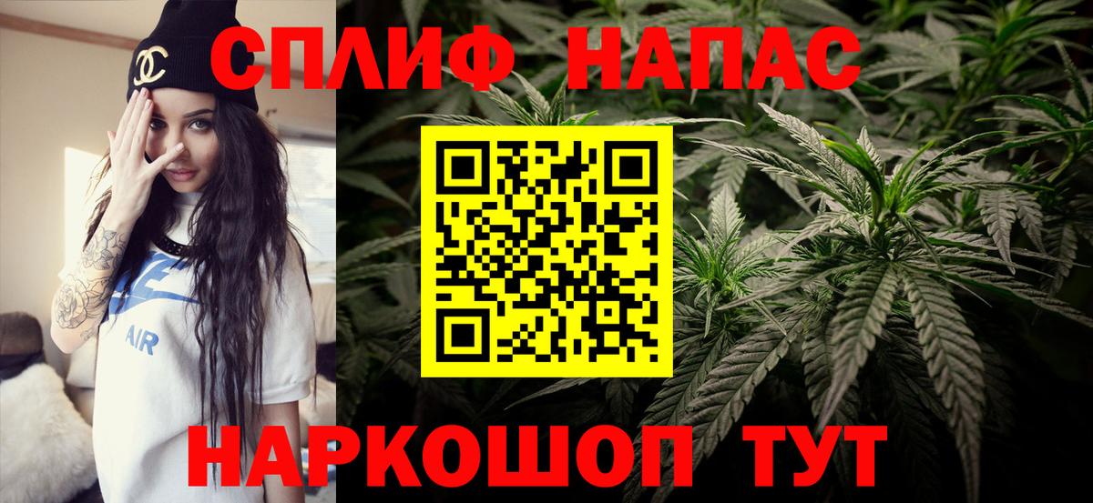 Конопля индика Кохма